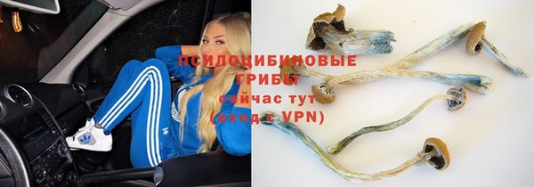 mdpv Киреевск
