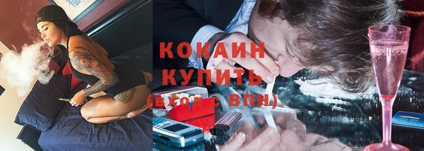 гидра Кинешма