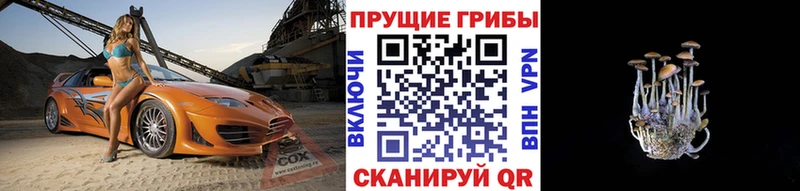 Купить где  Джанкой  Галлюциногенные грибы GOLDEN TEACHER 
